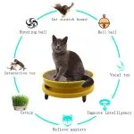 Factory outlet fashion multifunctional interactive cat toys cat scratching board - Afbeelding 4