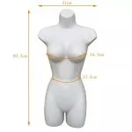 Custom Plastic Hanging Bikini Mannequin Torso (Bulk Order) - Image 2